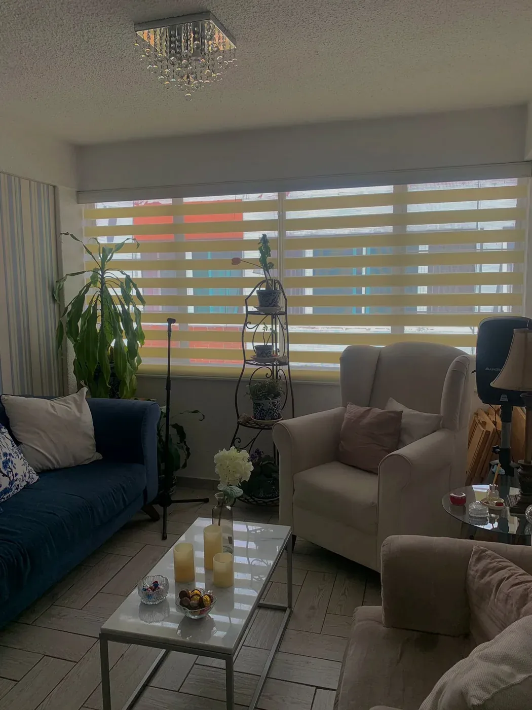 Sala cálida con persianas, sillones y plantas